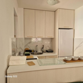 Apartment Anika